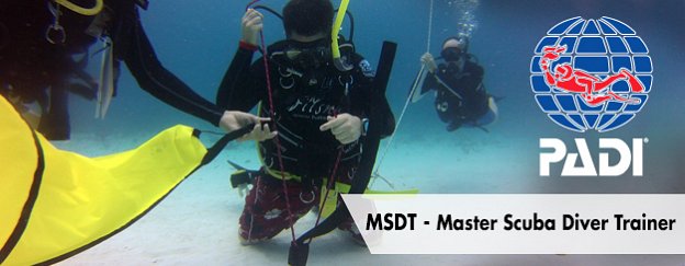 padi master scuba diver trainer Internship
