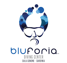 Bluforia