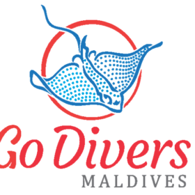 Go Divers