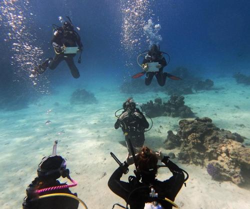 Open Water PADI IDC Course